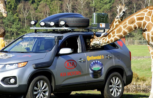 La nueva Sorento fue mirada en detalles por las jirafas. Foto: Hyundai Press.