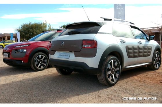 Primeras impresiones del C4 Cactus