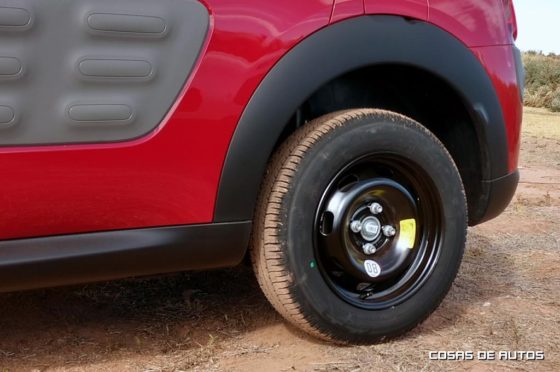 Primeras impresiones del C4 Cactus