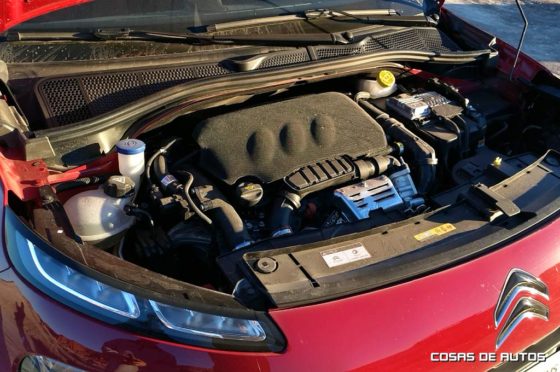 Primeras impresiones del C4 Cactus