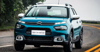Nuevo C4 Cactus