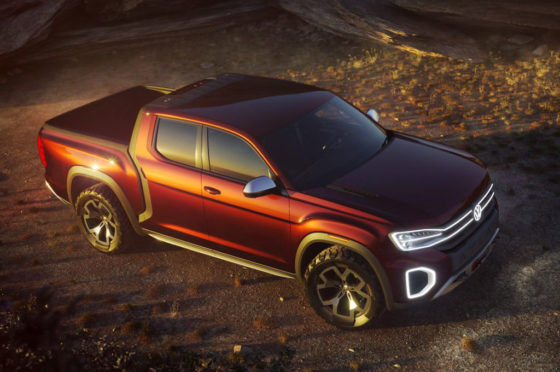VW Tanoak