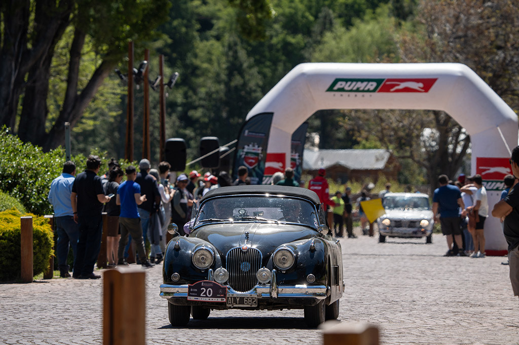 Mil Millas Sport Argentina - Puma